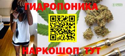 ECSTASY Ирбит