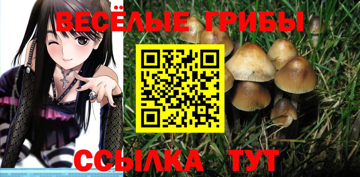 Псилоцибиновые грибы Psilocybe Кумертау