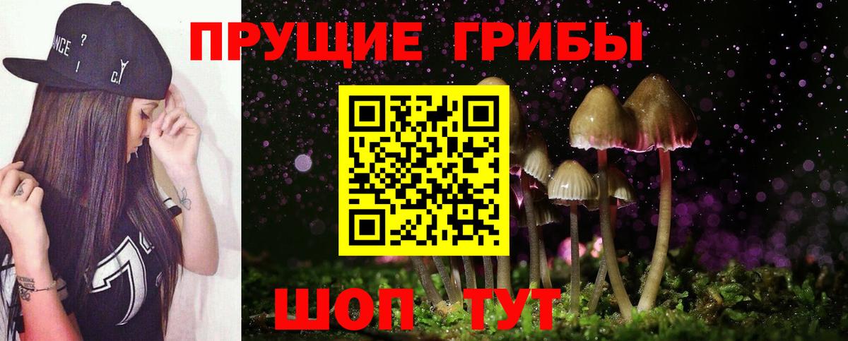 магазин продажи наркотиков  Галлюциногенные грибы Cubensis  Вход с VPN  Кумертау 